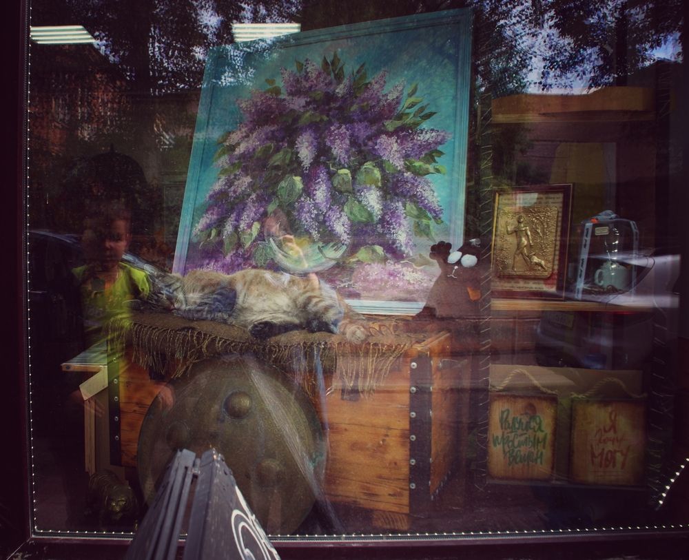 Photograph by АЛЛА ТАРАСЕНКО