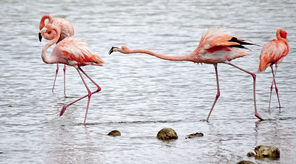 Ik krijg je wel te pakken;)