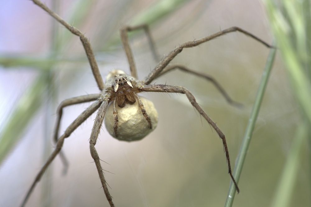 Photograph by Eduardo Salvador Cabrera