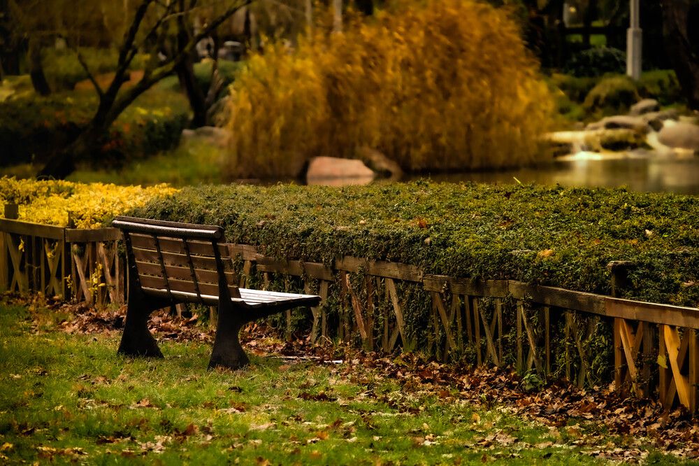 Photograph by Haluk Koçyiğit