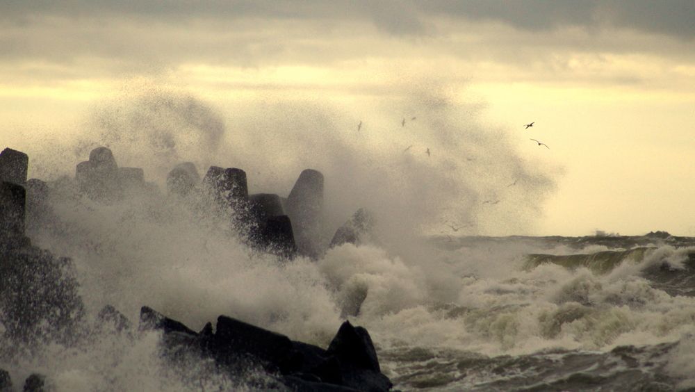 Photograph by Алексей Макаров