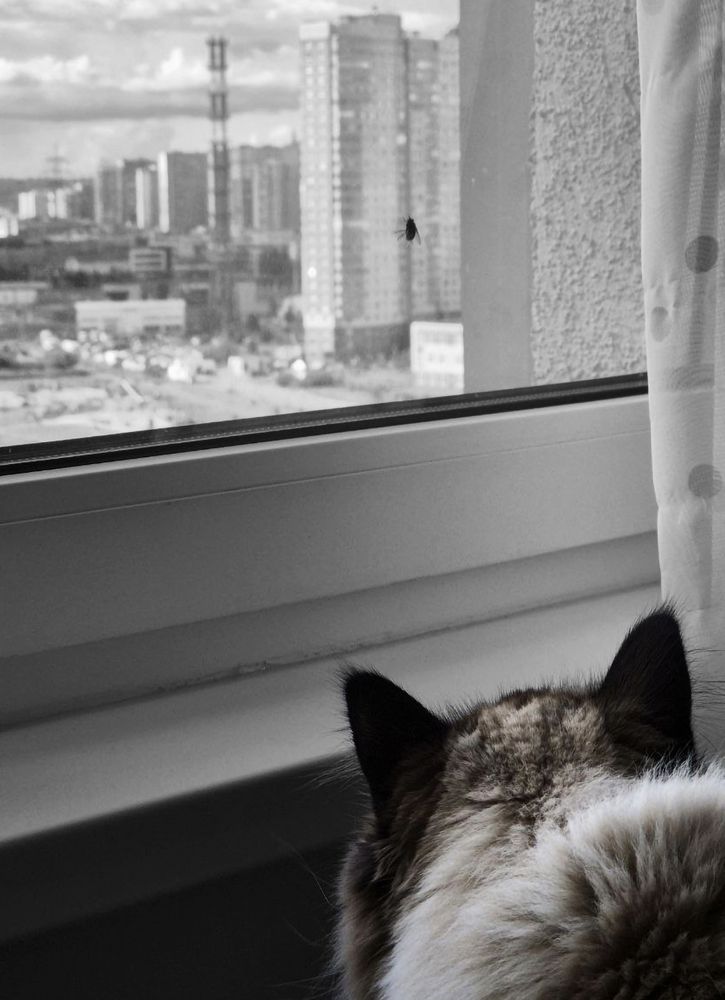 Photograph by Elizaveta Alatyrtseva