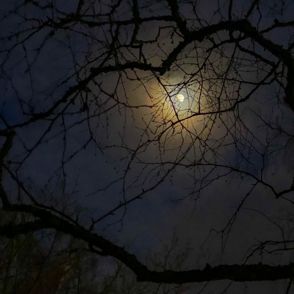 Photograph by Елена Данченко