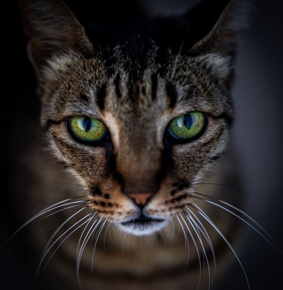 Photograph by Анжелика Нагирнер