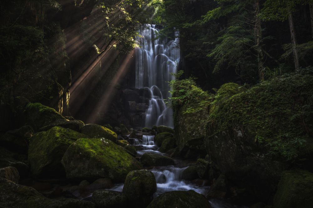 Photograph by Hiroki Matsubara