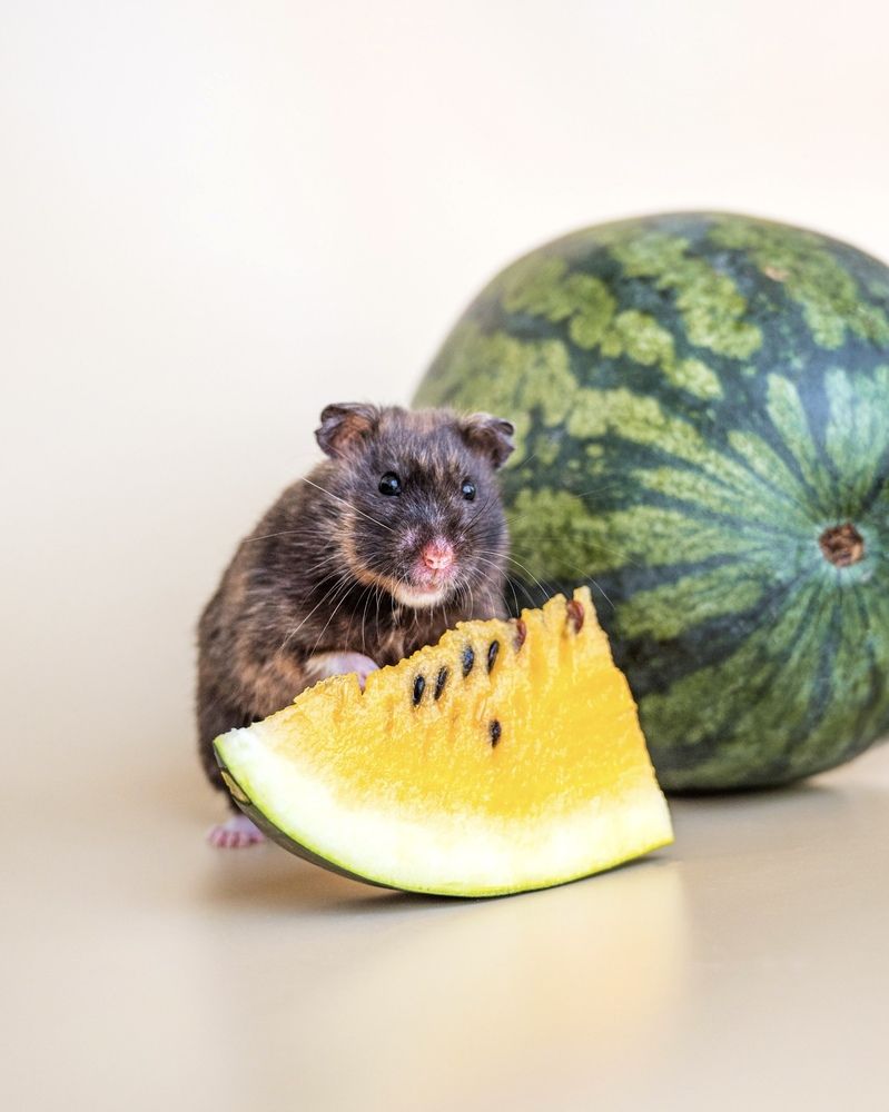 Photograph by Юлия Сидорова