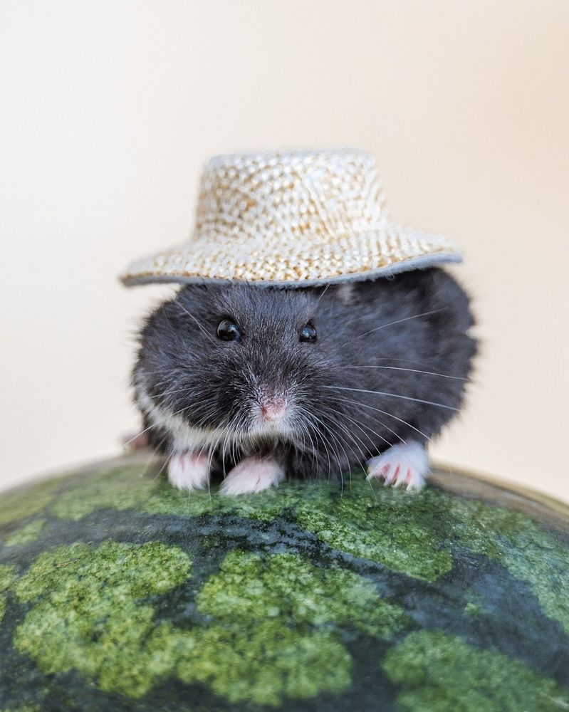 Photograph by Юлия Сидорова