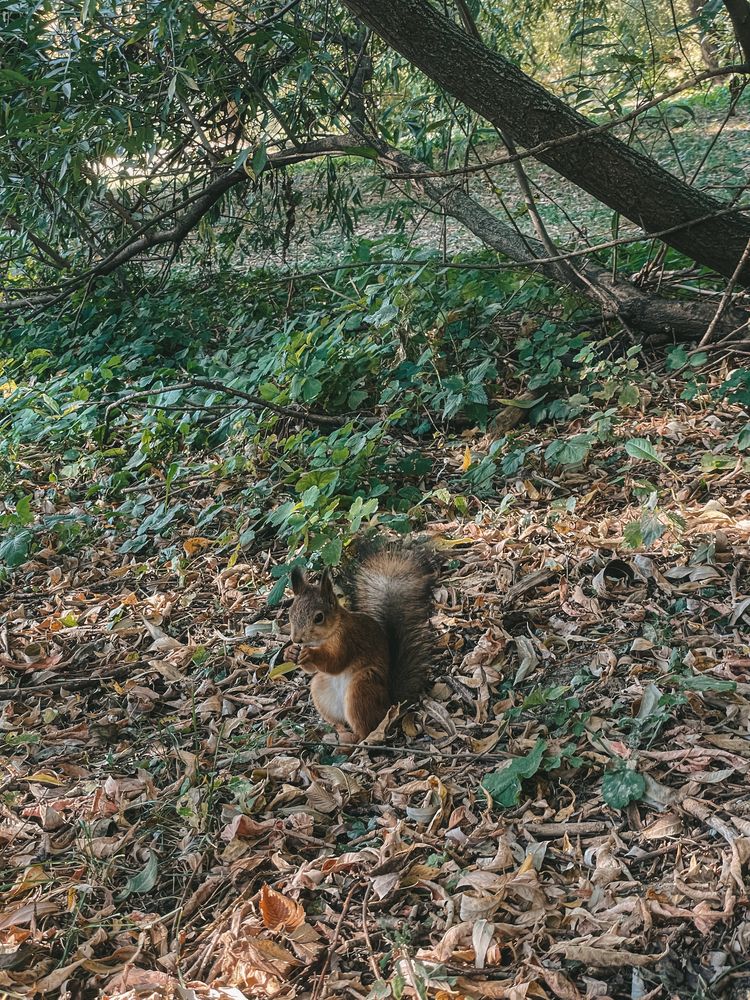 Photograph by Polina Pisar