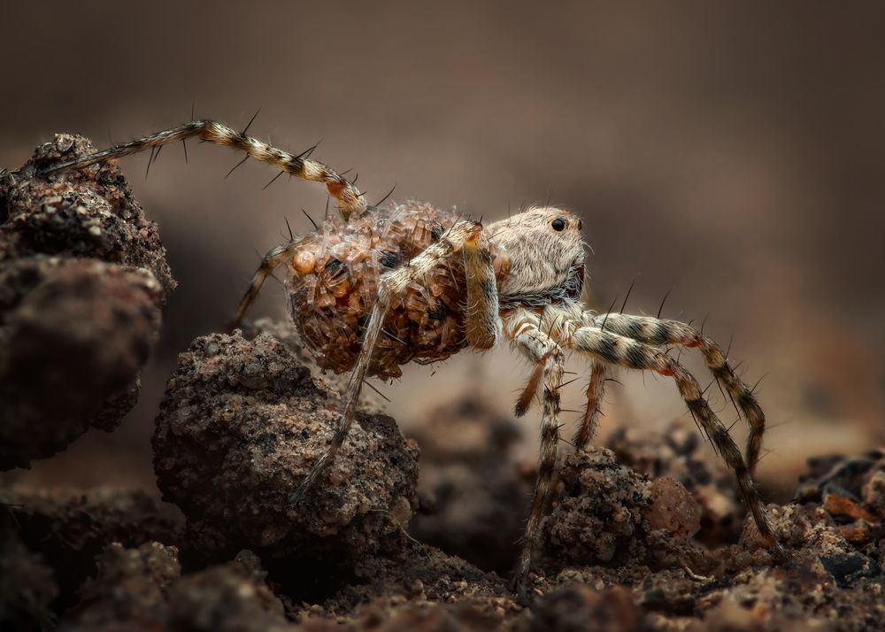 Photograph by Tran Anh Tuan