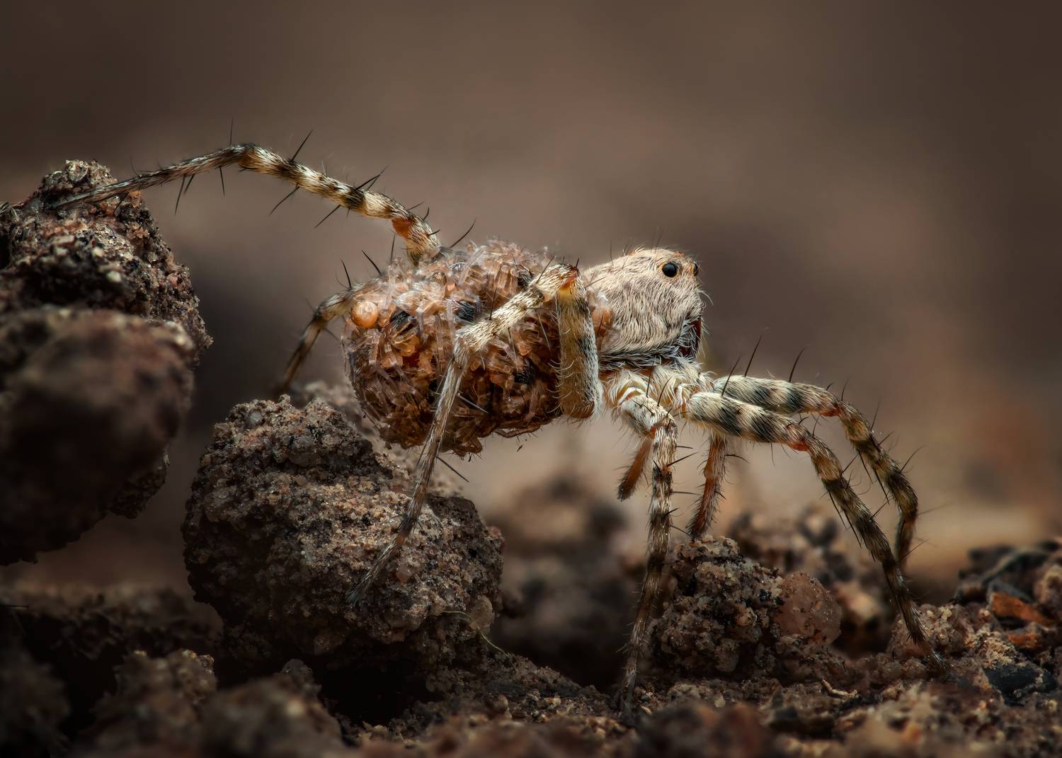 Фотография #12469084