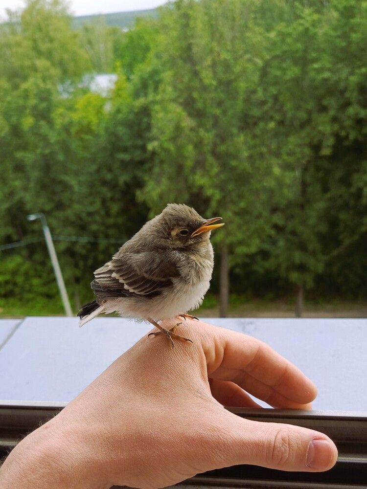 Photograph by Галина