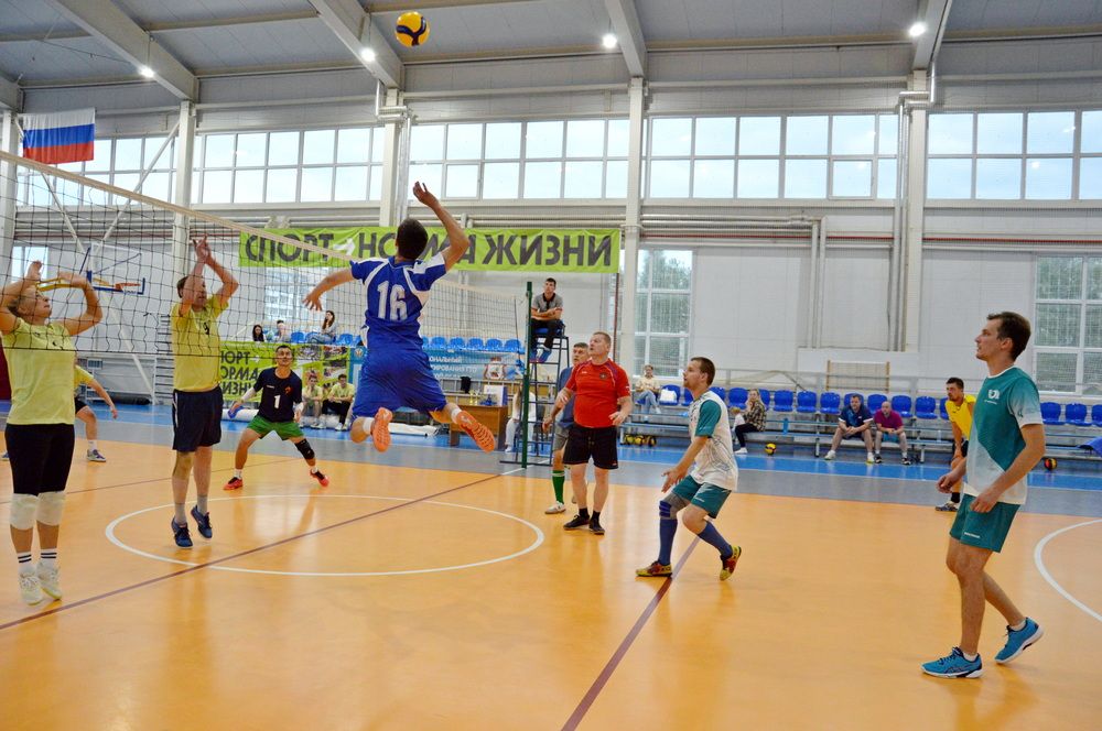 Фотография автора Елена Максимова