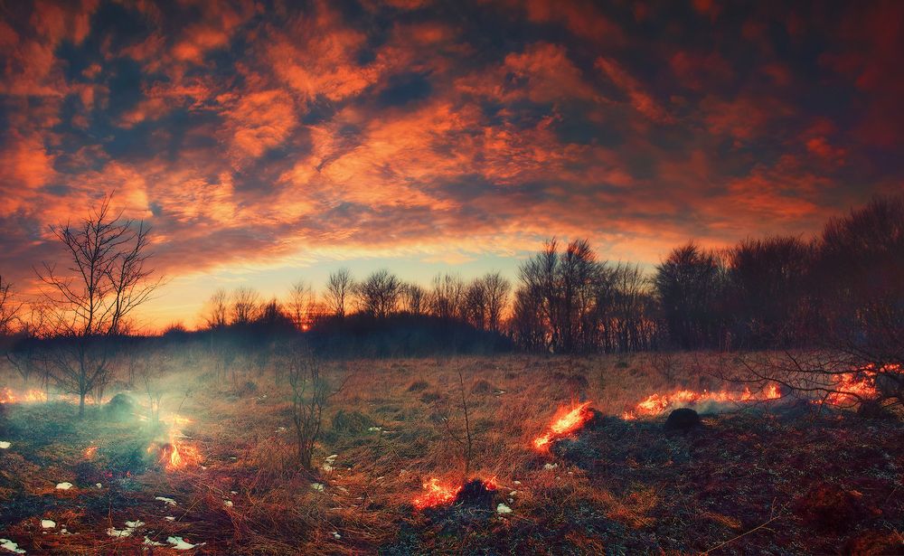 Photograph by Владимир