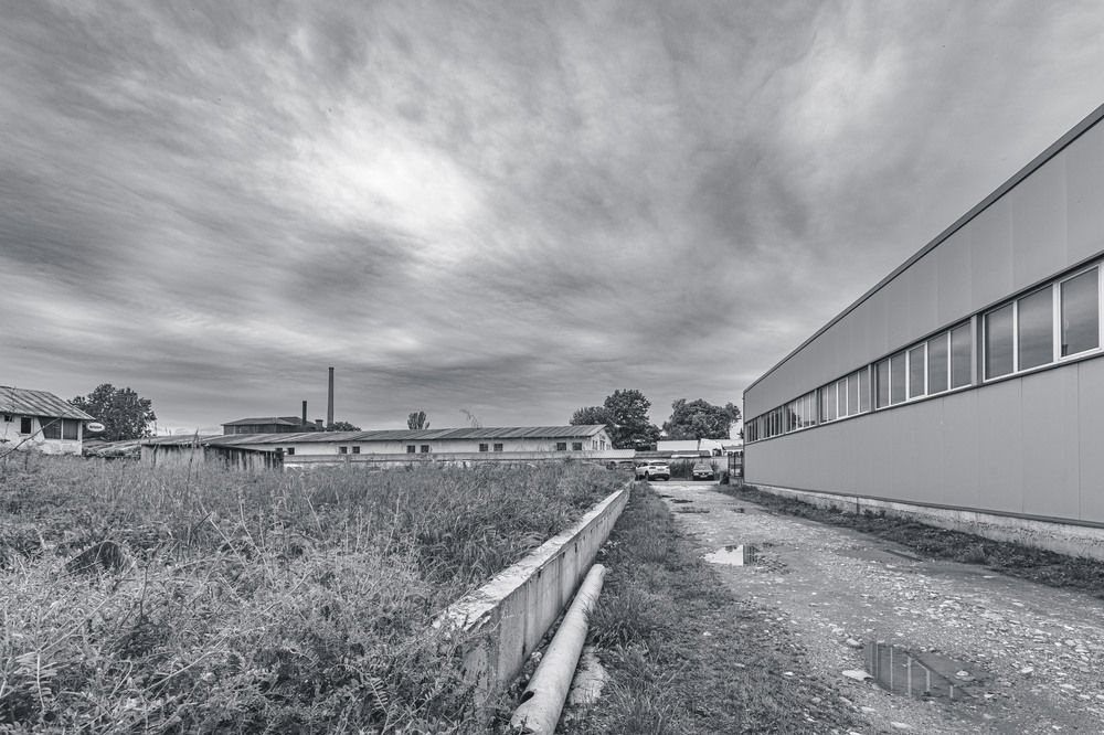 Photograph by Daniel Chobanov