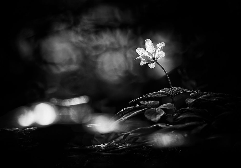 Photograph by Владимир