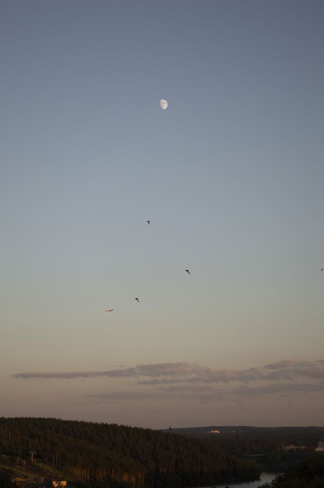 Photograph by Kristina Domanina