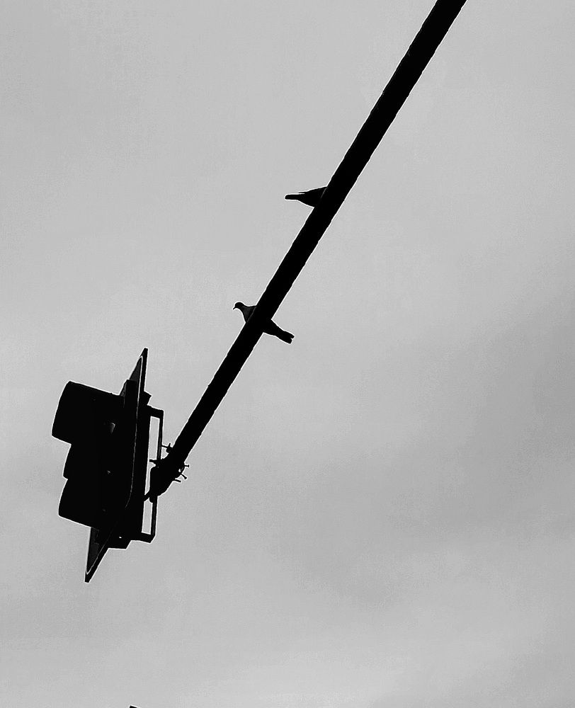 Photograph by claudia