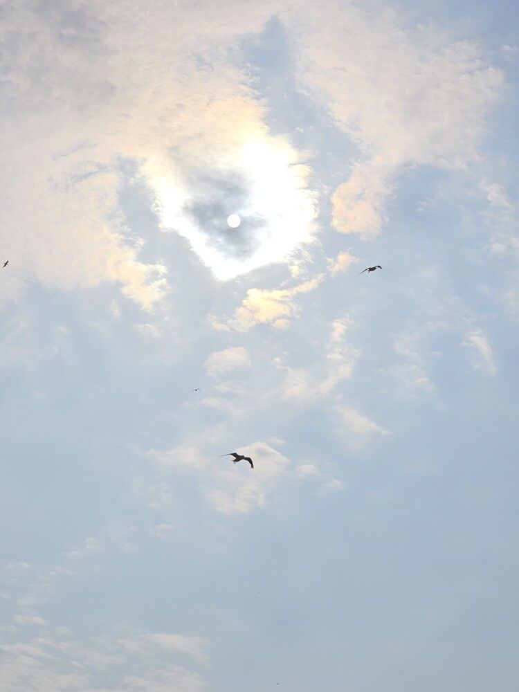 Photograph by Элеонора