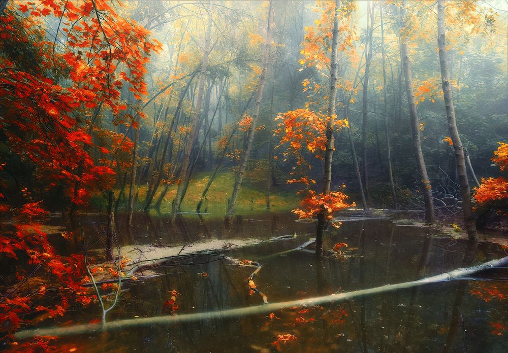 Photograph by Владимир