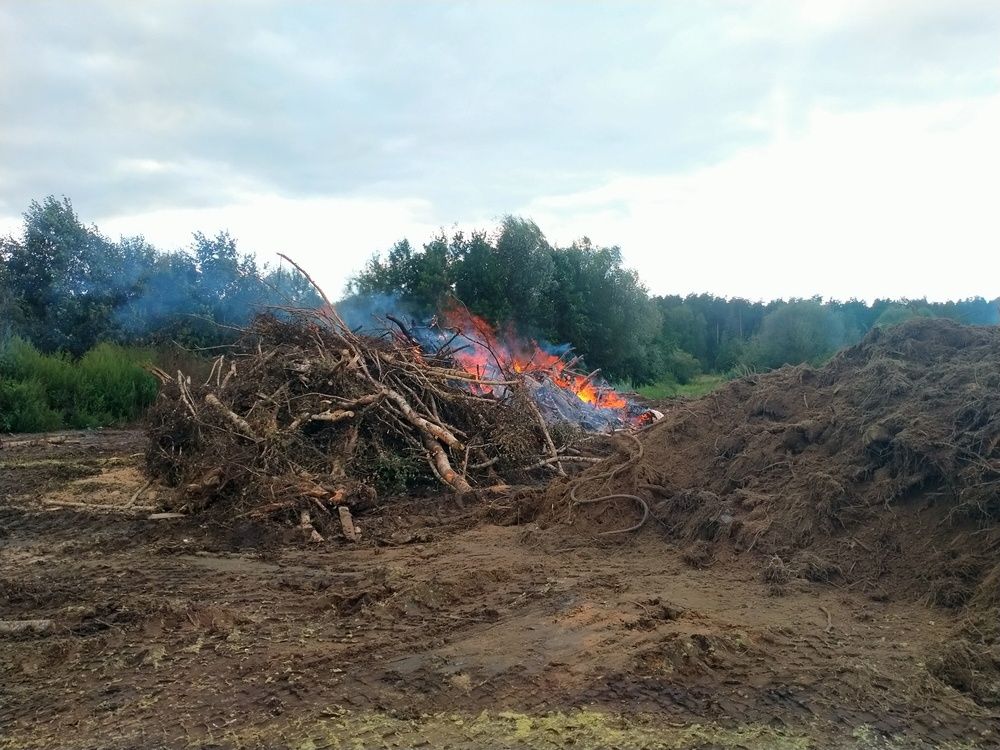 Photo #12469344