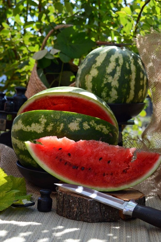 Photograph by Марина Манацкова