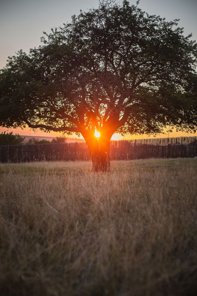 Photograph by Филипп Бабенко