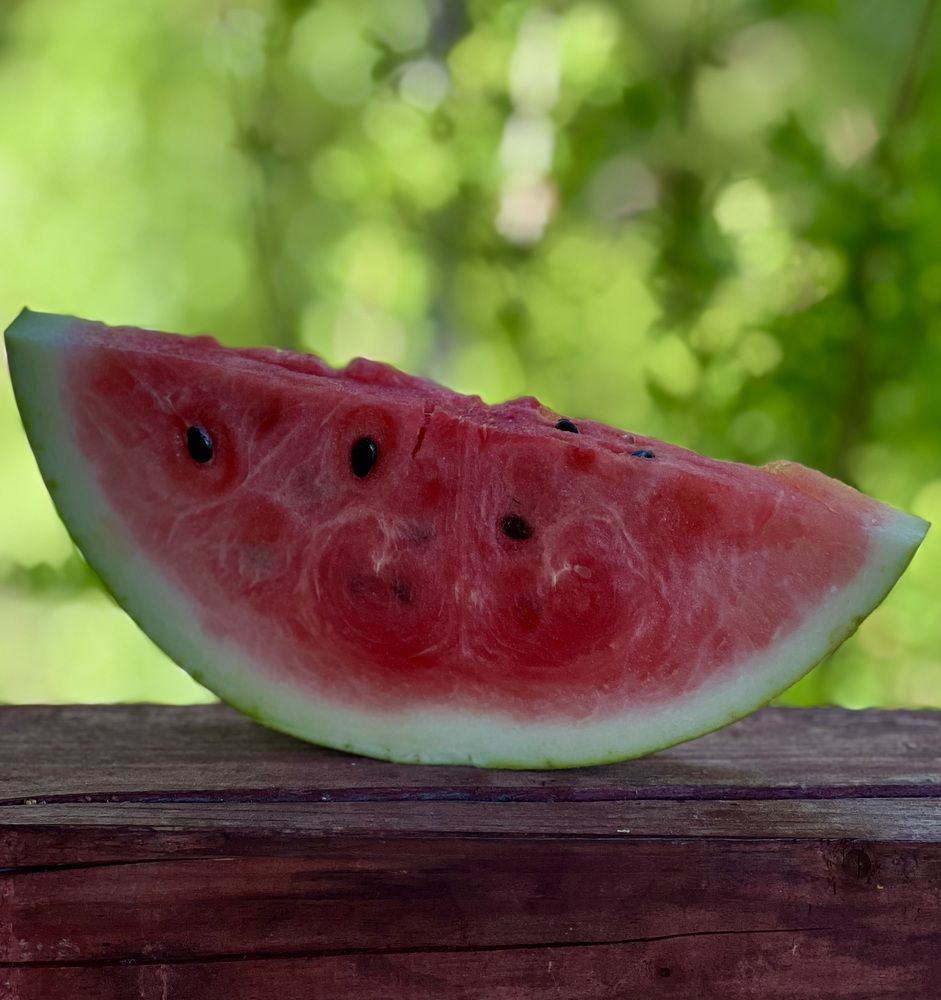 Photograph by Татьяна Михайловна