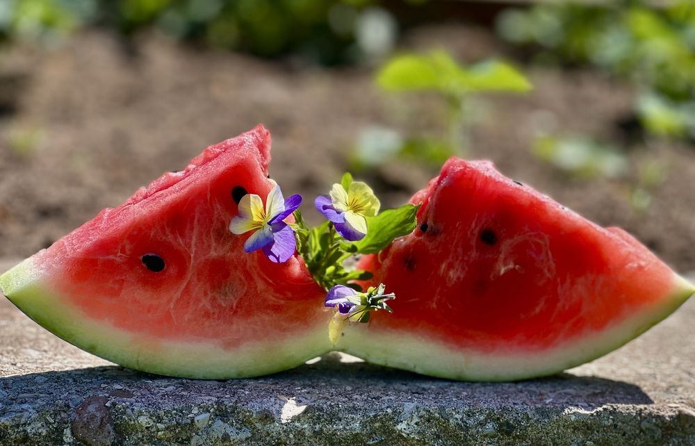 Photograph by Татьяна Михайловна