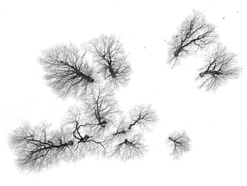 Photograph by Boris Bekelman