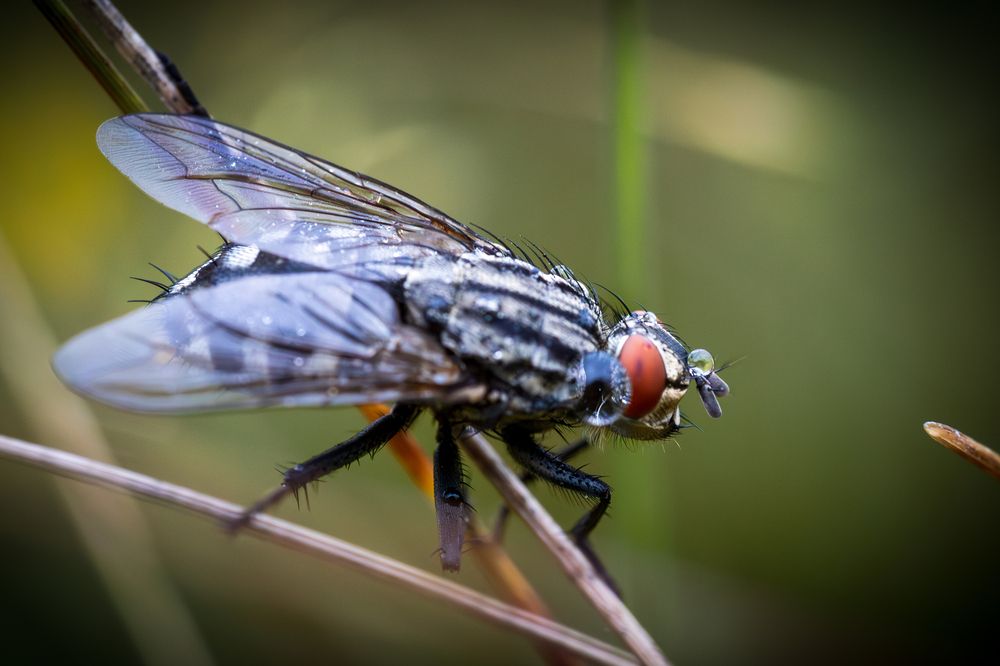 Photograph by Артём Парамонов