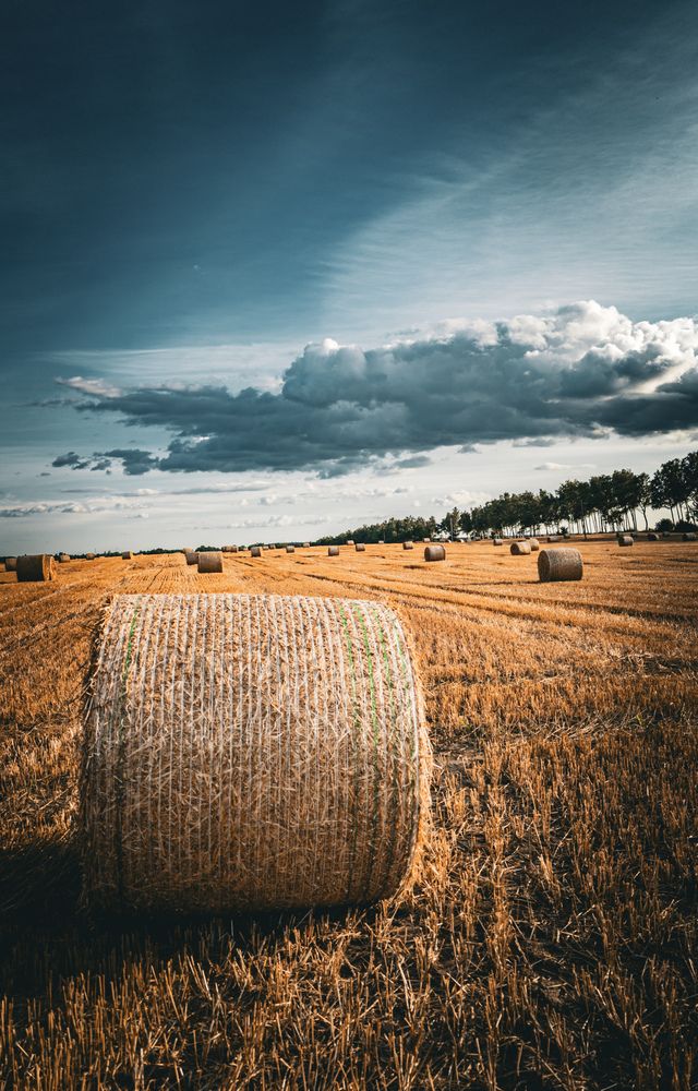 Фотография автора Геннадий Ломеко