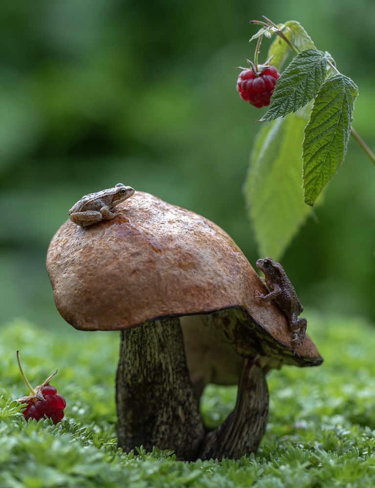 Photograph by Татьяна Феденкова