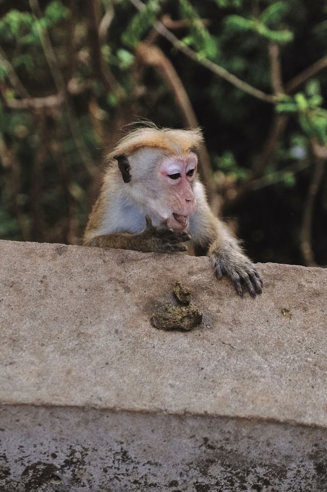 Photograph by Аида Фай