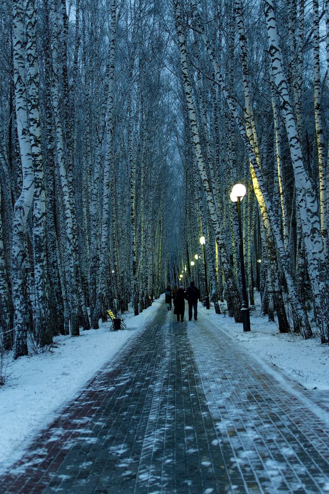 Photograph by Александр Шульга