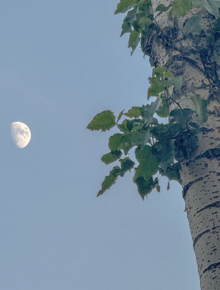 Photograph by Наталия Любчикова