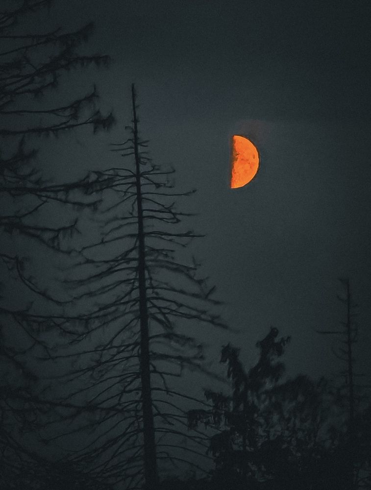 Photograph by Наталия Любчикова