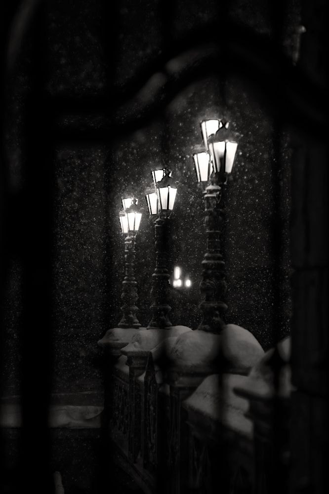 Photograph by Александр Селезнев