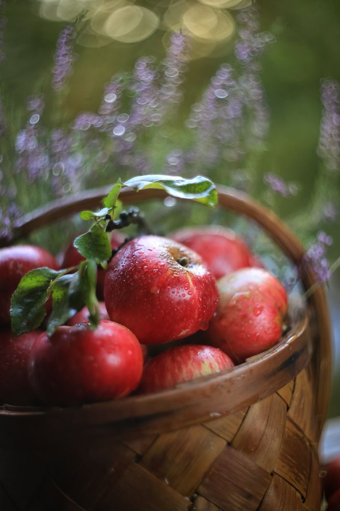 Яблочный спас