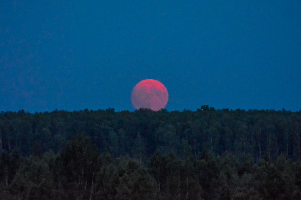 Photograph by Анастасия Гурова