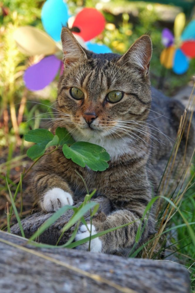 Photograph by Светлана Филина