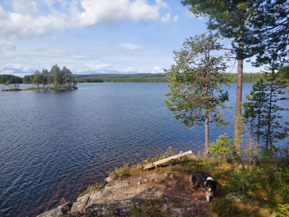 Photograph by Артём Евтюхов