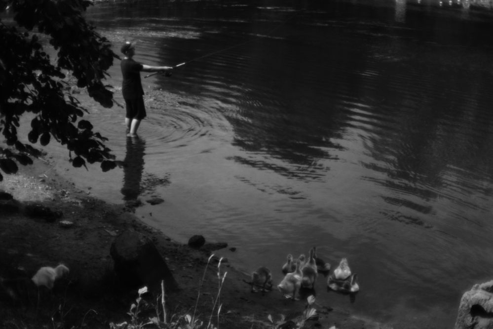 Photograph by Ольга Истомина