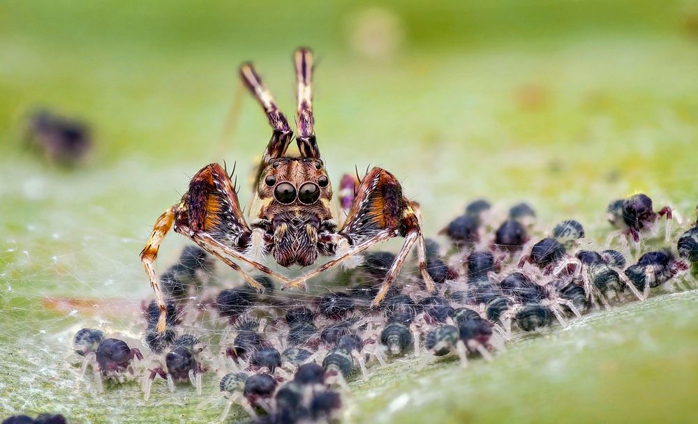 Photograph by Tran Anh Tuan