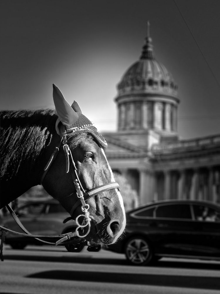 Photo #12470458