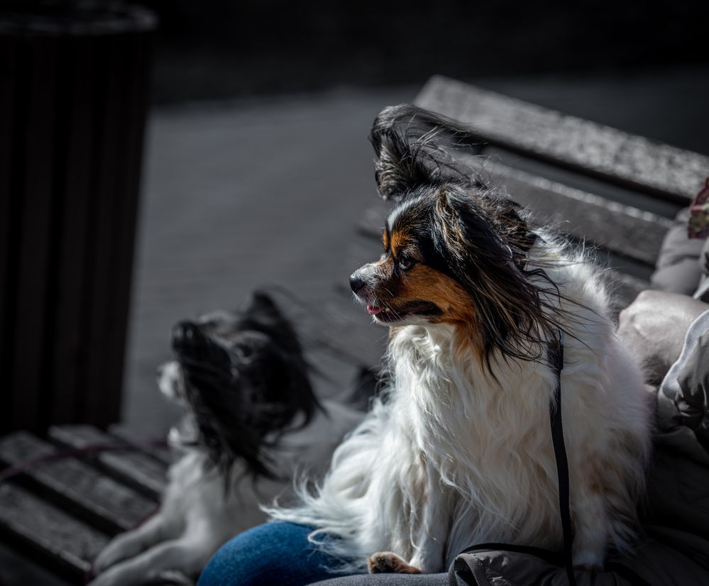 Photograph by Алёна