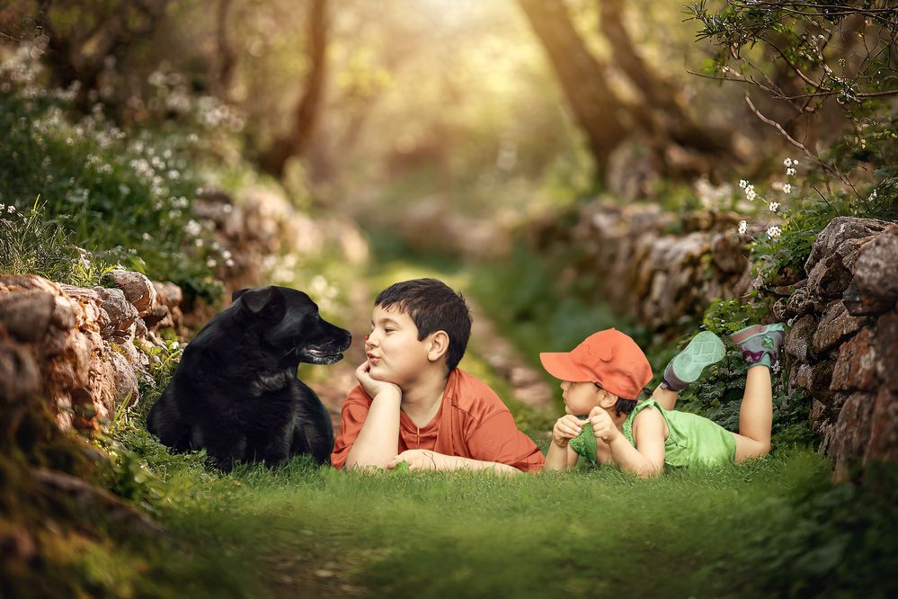 Photograph by Meilleurs Moments