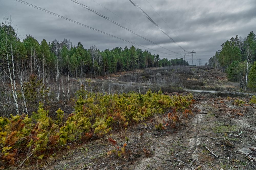 ОТЕХНОГЕНЕННЫЙ ПЕЙЗАЖ