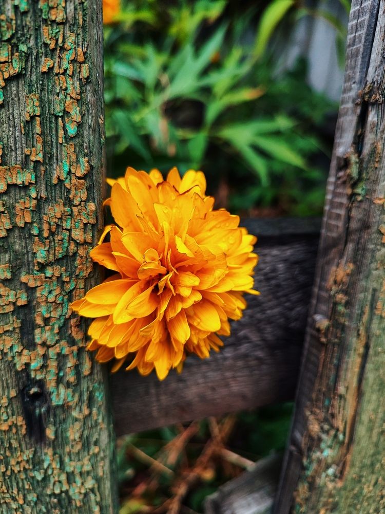 Photograph by Анна Напримерова