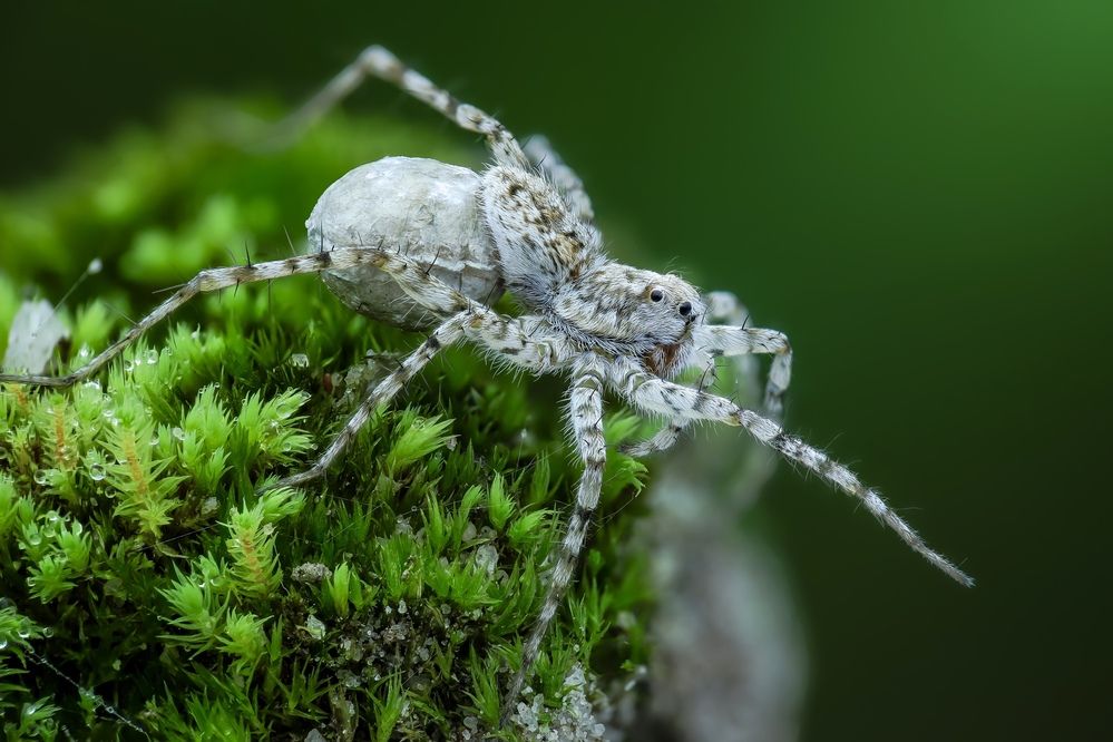 Photograph by Tran The Ngoc