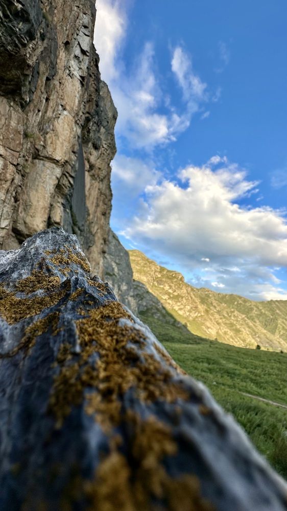 Горы Алтая